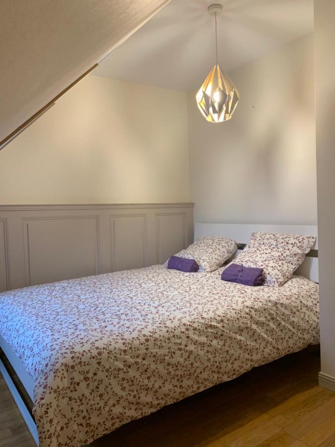 Historical Town Center Spacious Flat Колмар Екстериор снимка