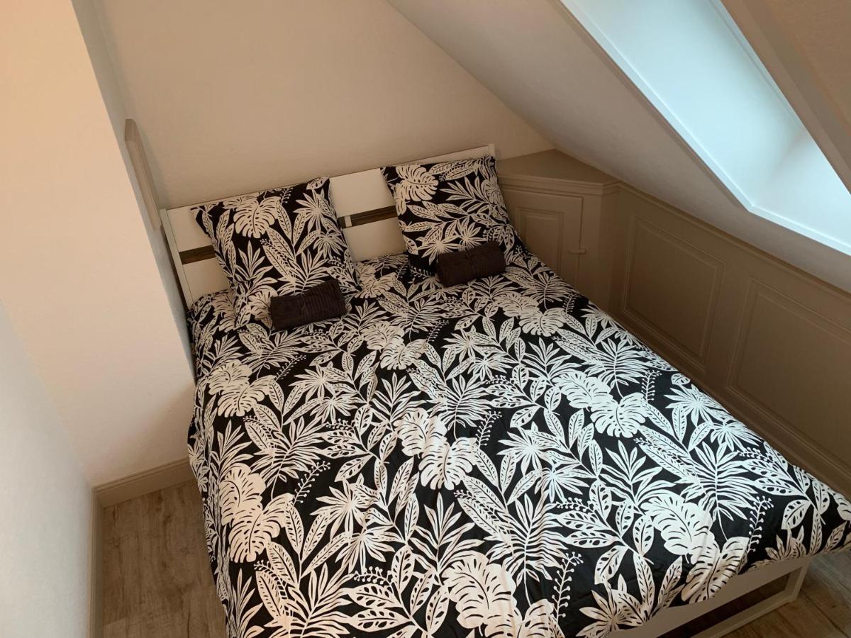 Historical Town Center Spacious Flat Колмар Екстериор снимка