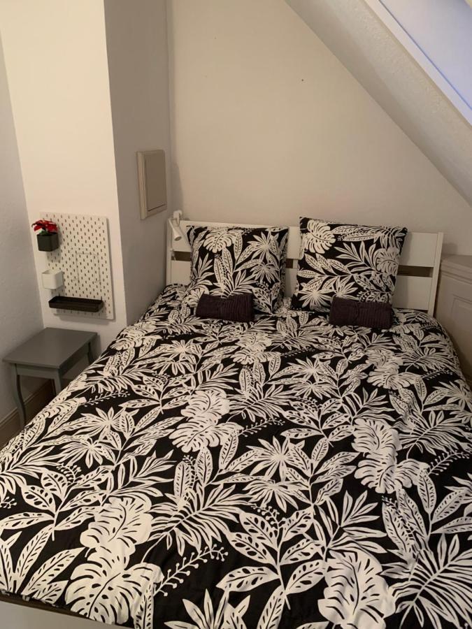 Historical Town Center Spacious Flat Колмар Екстериор снимка