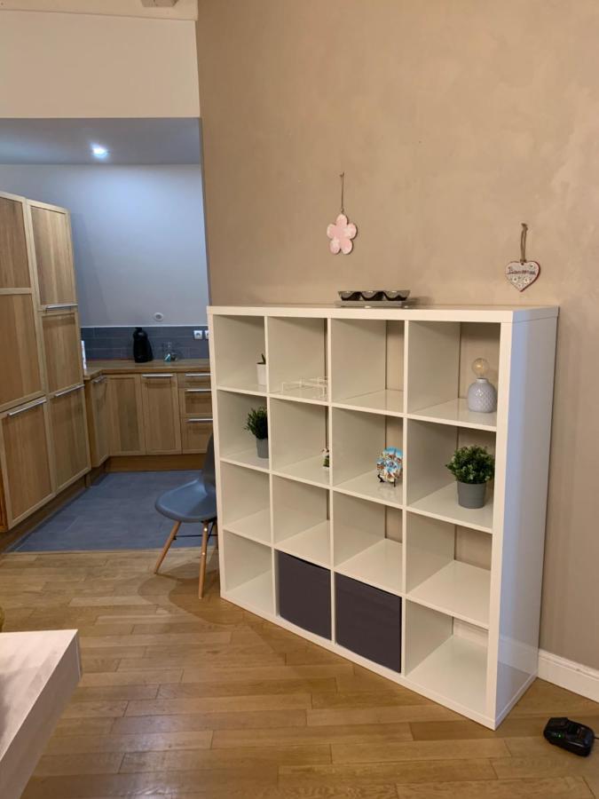 Historical Town Center Spacious Flat Колмар Екстериор снимка