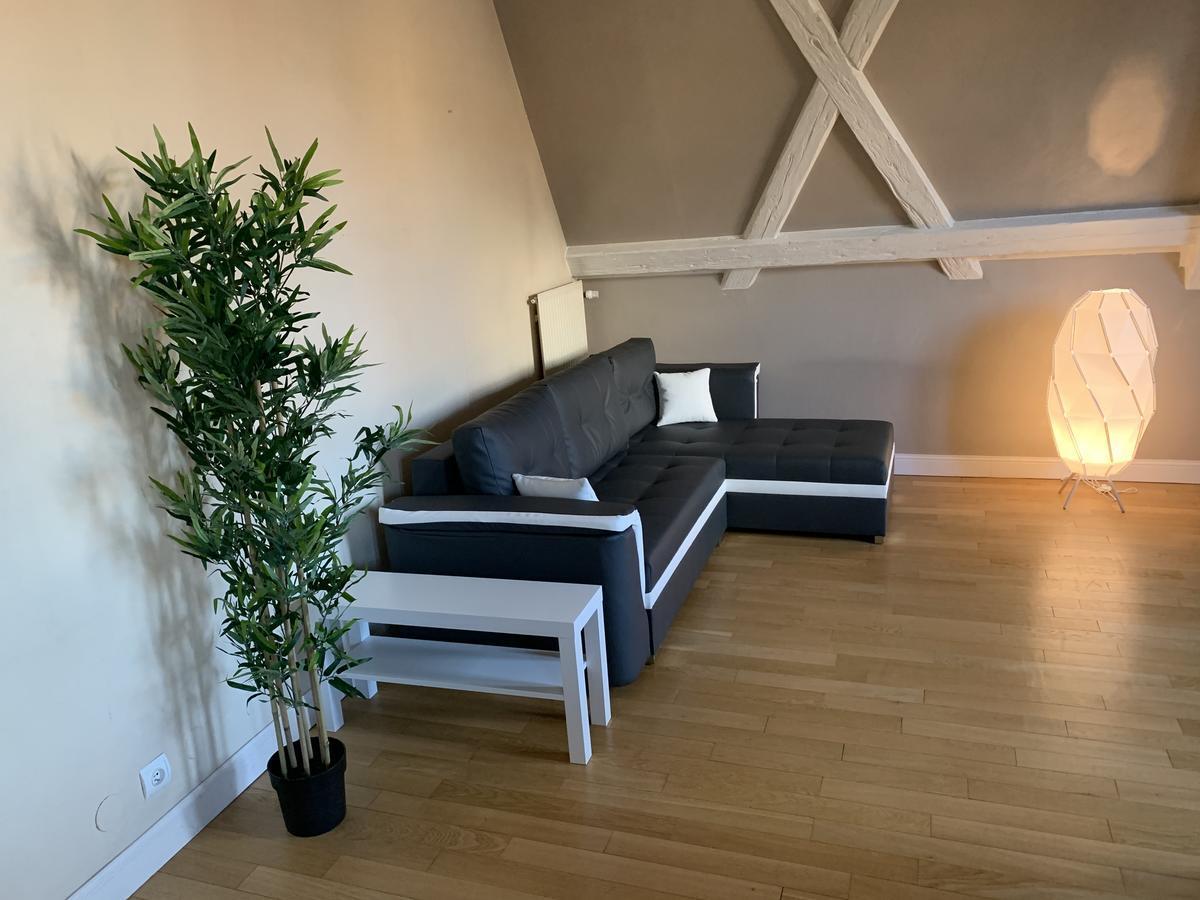 Historical Town Center Spacious Flat Колмар Екстериор снимка